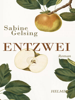 cover image of Entzwei